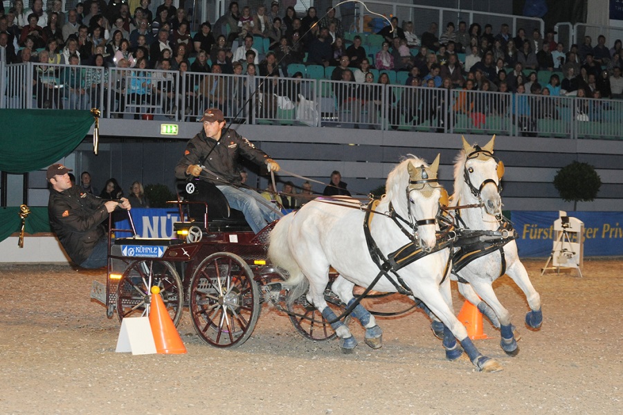 馬展，德國馬展，馬匹比賽